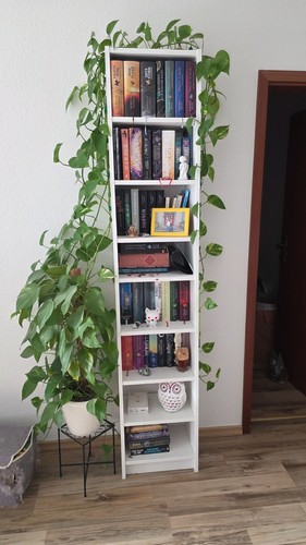 Ikea billy regal weiß - ikea,